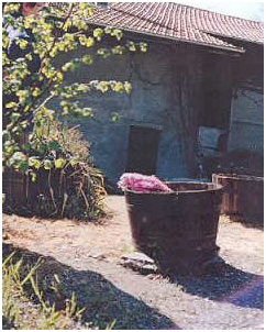 The native house of Mother Claudine Echernier